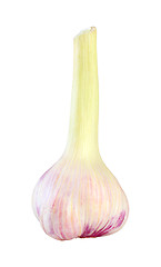 Image showing Bulb of garlic