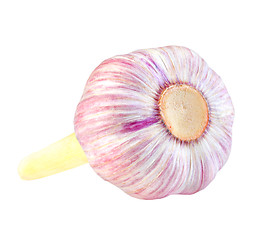 Image showing Bulb of garlic