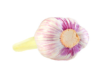 Image showing Bulb of garlic