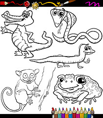 Image showing animals set cartoon coloring book