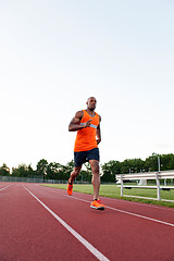 Image showing Running At the Track