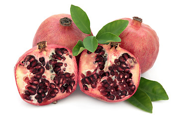 Image showing Pomegranate Super Food