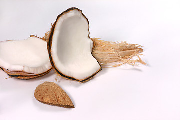 Image showing coconut