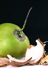 Image showing coconut