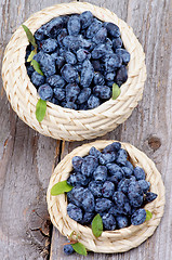 Image showing Honeysuckle Berries