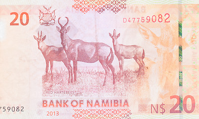 Image showing Twenty Namibian Dollars