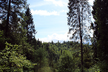 Image showing view to Carpathian mountains