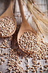 Image showing wheat grain in wooden spoons 