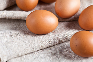 Image showing fresh brown eggs 