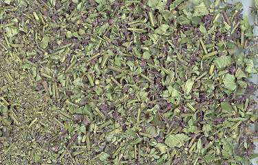 Image showing Herbal tea with sage as a background