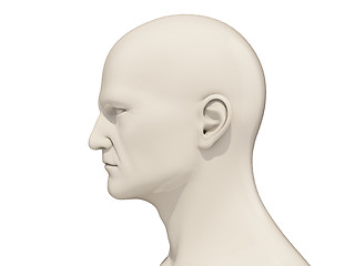 Image showing Human head isolated