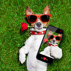 Image showing valentines dog