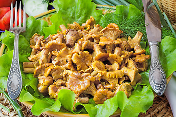 Image showing Fried mushrooms of chanterelle on a dish together with lettuce l