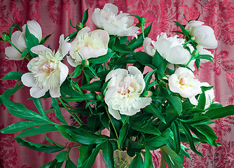 Image showing Bouquet of white peonies on a beautiful background. 