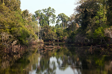 Image showing The landscape with a lake and trees.