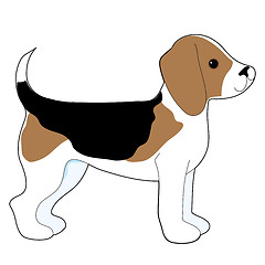 Image showing Beagle