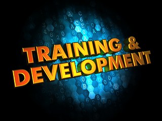 Image showing Training and Development on Digital Background.