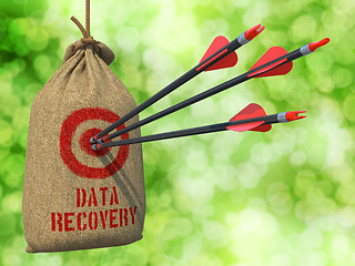 Image showing Data Recovery - Arrows Hit in Red Mark Target.