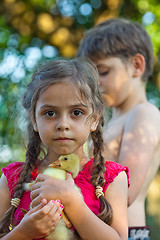 Image showing Little girl with gosling