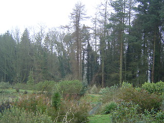 Image showing Scotish landscape