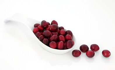 Image showing Juicy Cranberry Fruit