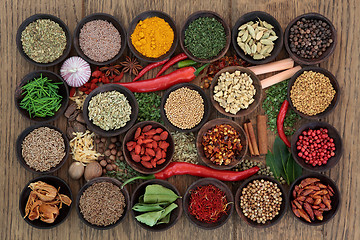 Image showing Spice and Herb Sampler