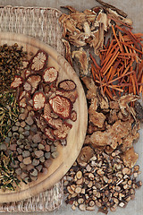 Image showing Traditional Chinese Herbal Medicine