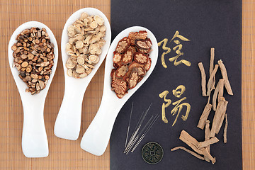 Image showing Oriental Medicine