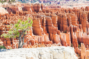 Image showing Bryce Canyon