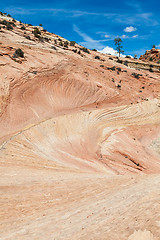 Image showing Zion National Park