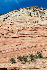 Image showing Zion National Park