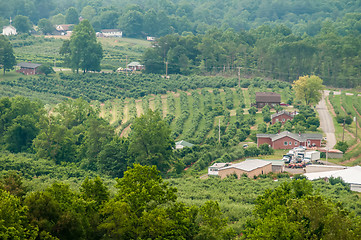 Image showing vinyard in a distance of virginia mountains