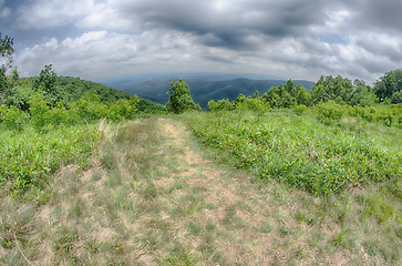 Image showing scenics along blue ridge parkway in west virginia