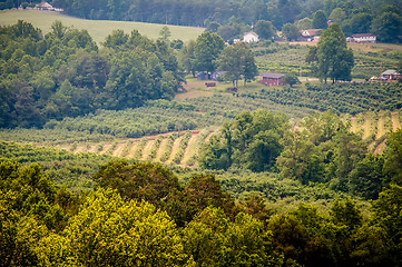 Image showing vinyard in a distance of virginia mountains