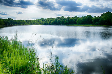 Image showing green plants by the remote lake