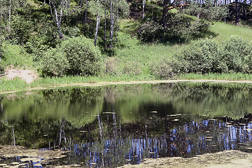 Image showing forest lake