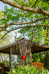 Image showing garden view with red tulip and yard bower fragment 