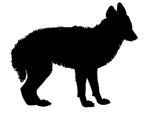 Image showing Jackal silhouette