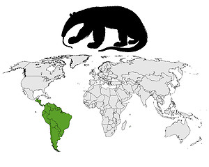 Image showing Giant anteater range