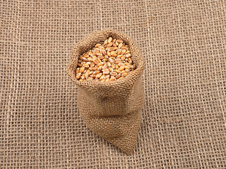 Image showing Cereal bag on jute