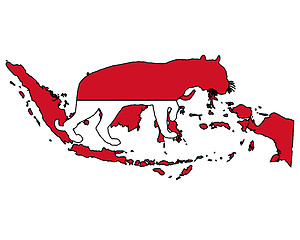 Image showing Indonesia tiger