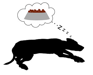 Image showing Dog dreams of feeding
