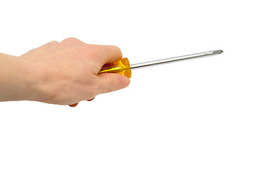 Image showing Hand with Crosstip screwdriver 