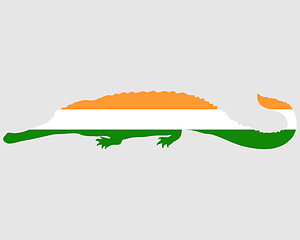 Image showing Gharial India