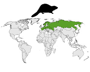 Image showing Distribution european beaver 
