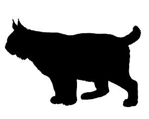 Image showing Lynx silhouette
