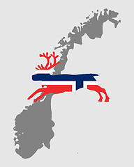 Image showing Norwegian reindeer