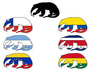 Image showing Anteater flags