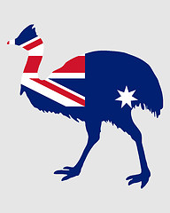 Image showing Kassowary Australia