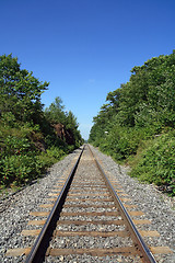 Image showing Railway track crossing the wood